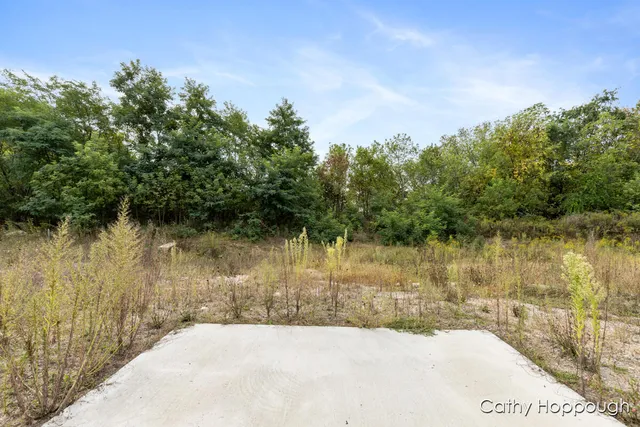 $650,000 | 533 East Washington Street, Unit A B C D, Ionia, MI 48846