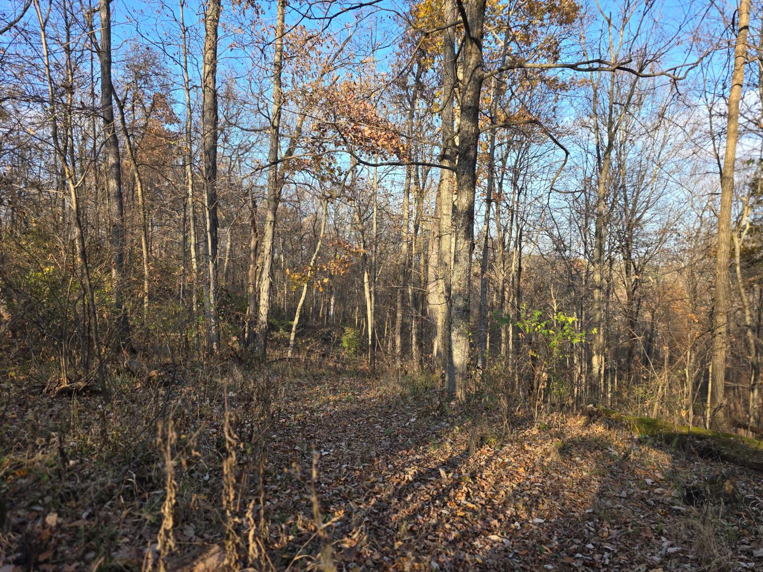 6164 McKay Road Madison, IN 47250 - Photo 35 of 48