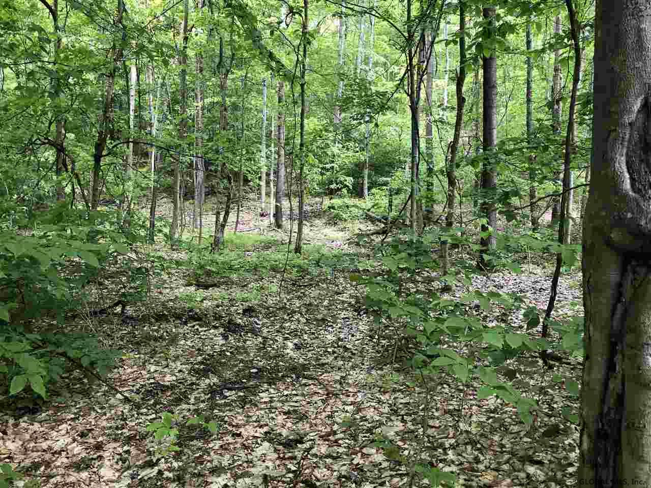 292 County Rte 30 Salem, NY 12865 - Photo 54 of 54 Photo 56