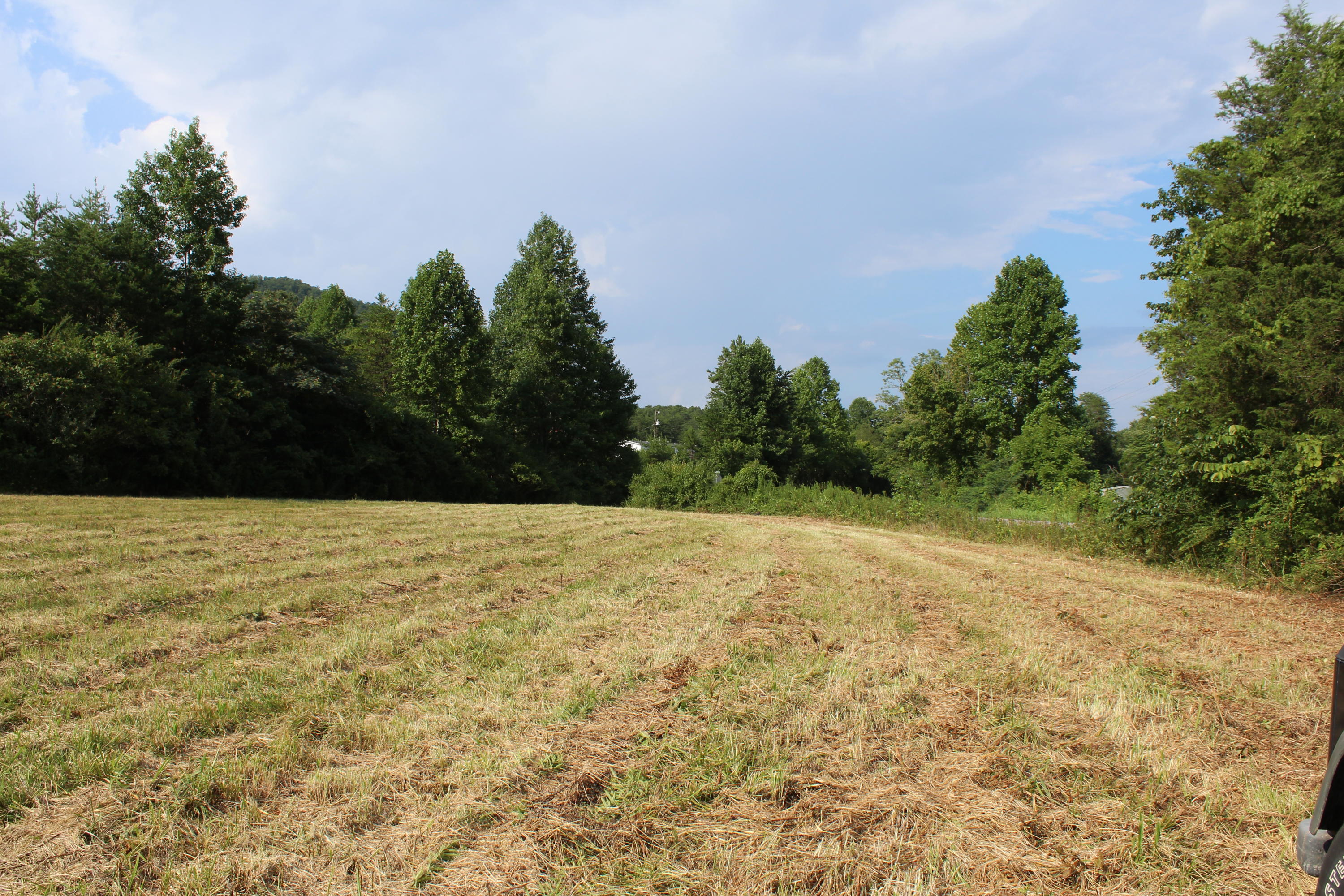 Lot 2-3 Fairview Road Tellico Plains, TN 37385 - Photo 8 of 17 Dockery Land Fairview Rd_0362