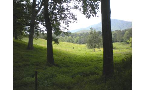 Big Creek Road Ellijay, GA 30536 - Photo 1 of 1 Main View