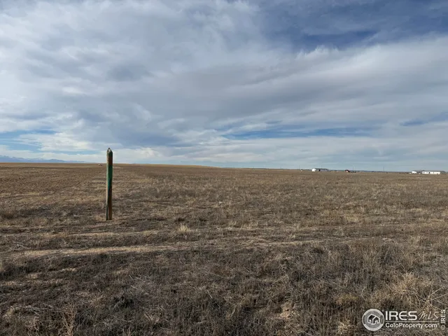 a view of a yard with an ocean