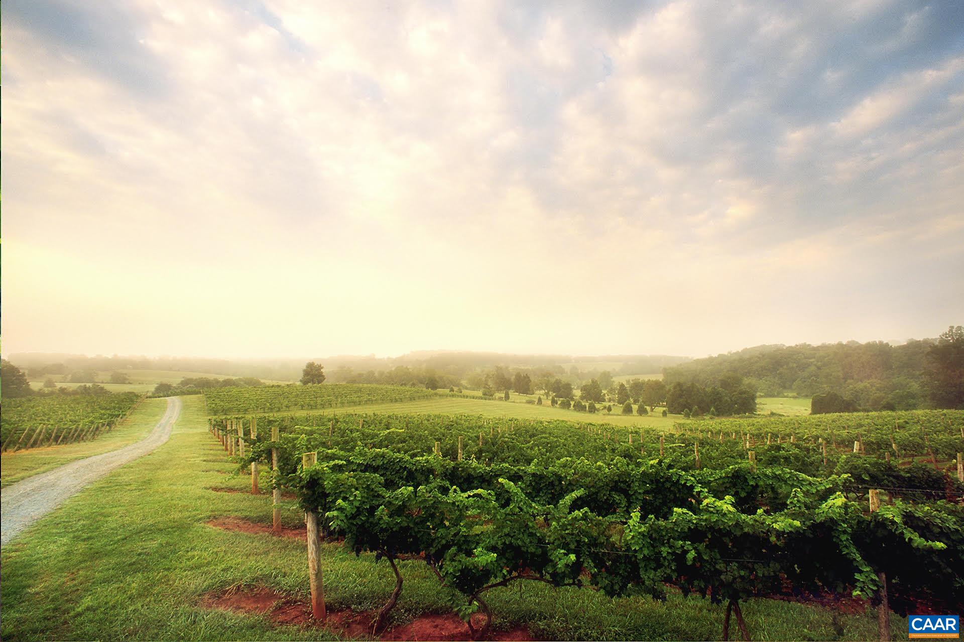 720 Walker Square, Unit 3D Charlottesville, VA 22903 - Photo 26 of 26