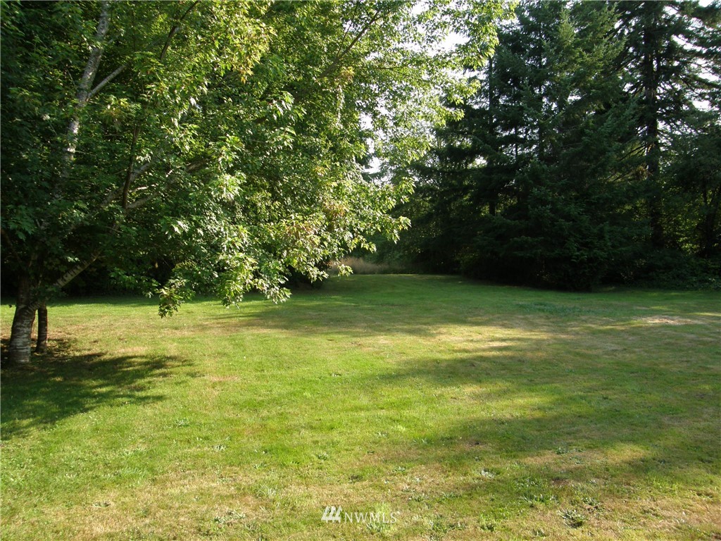 33 Prairie Garden Road Humptulips, WA 98552 - Photo 4 of 22 Gallery Image 4