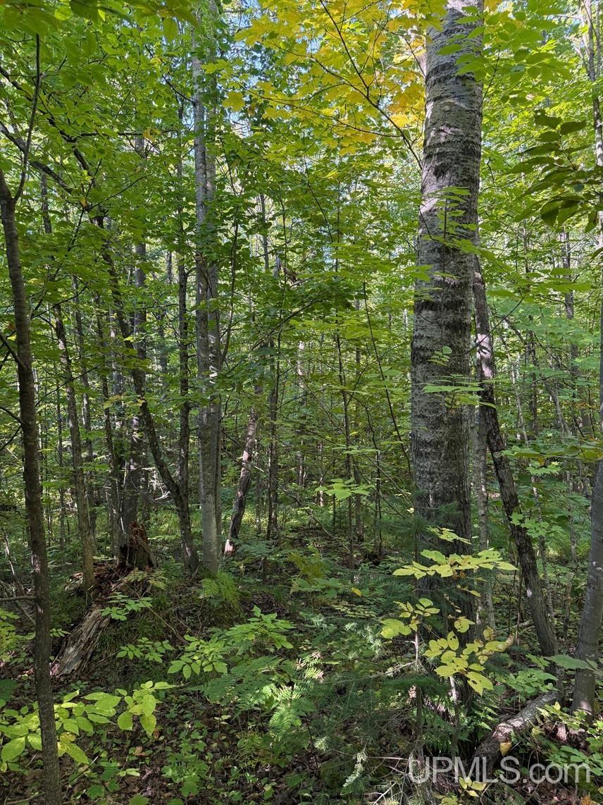 Tbde10 Firesteel Road Ontonagon, MI 49953 - Photo 10 of 17