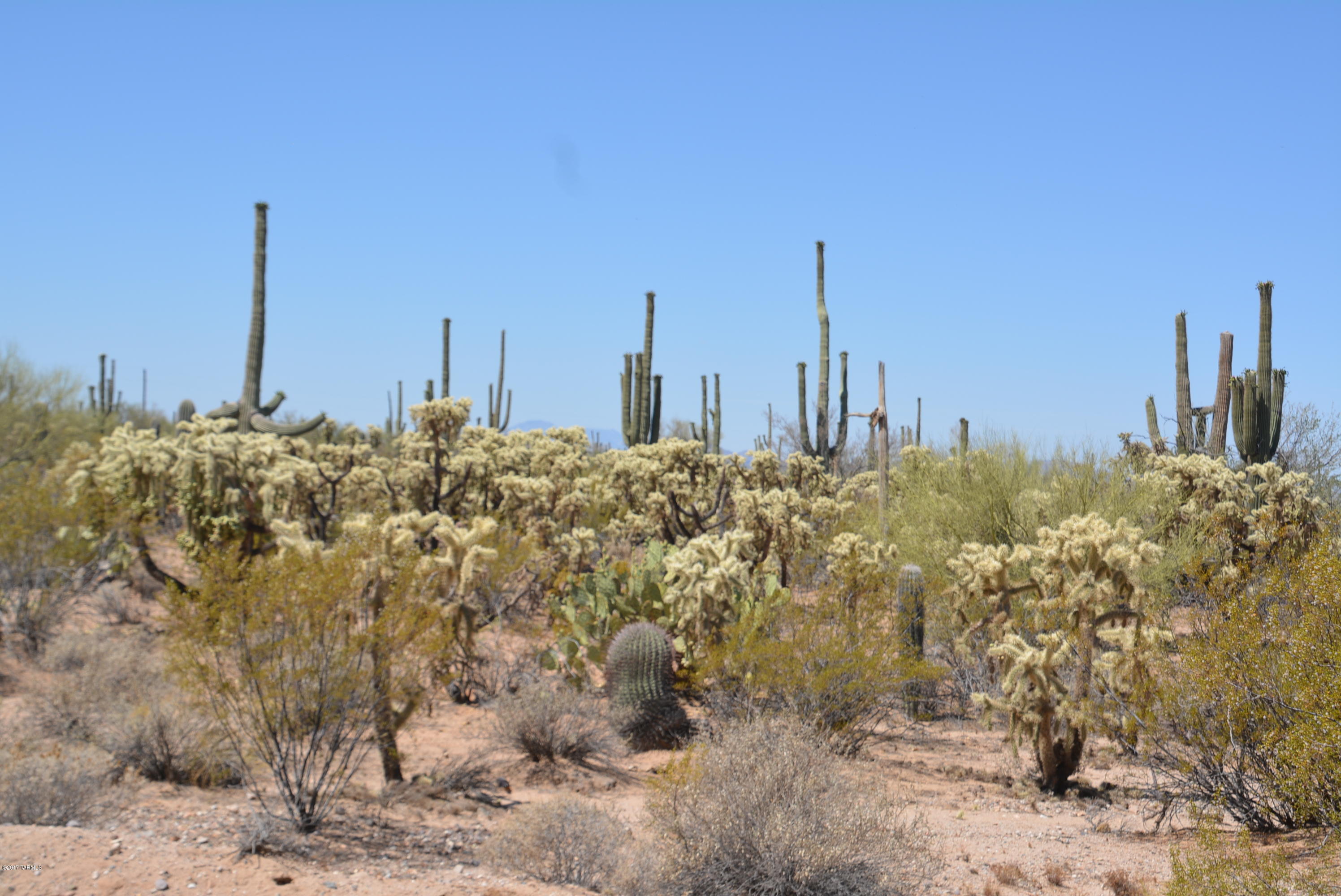 0 West Rudasill Road, Unit EAST Tucson, AZ 85743 - Photo 12 of 13