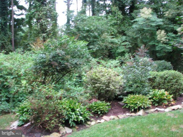 5840 Newhart Mill Road Rhodesdale, MD 21659 - Photo 12 of 25 Exterior (General)