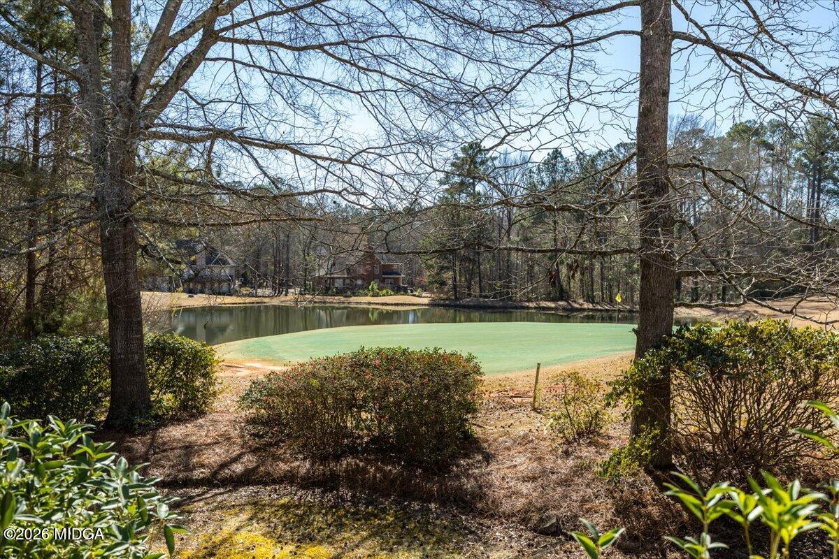 405 Laurel Place Macon, GA 31220 - Photo 39 of 60 Backyard