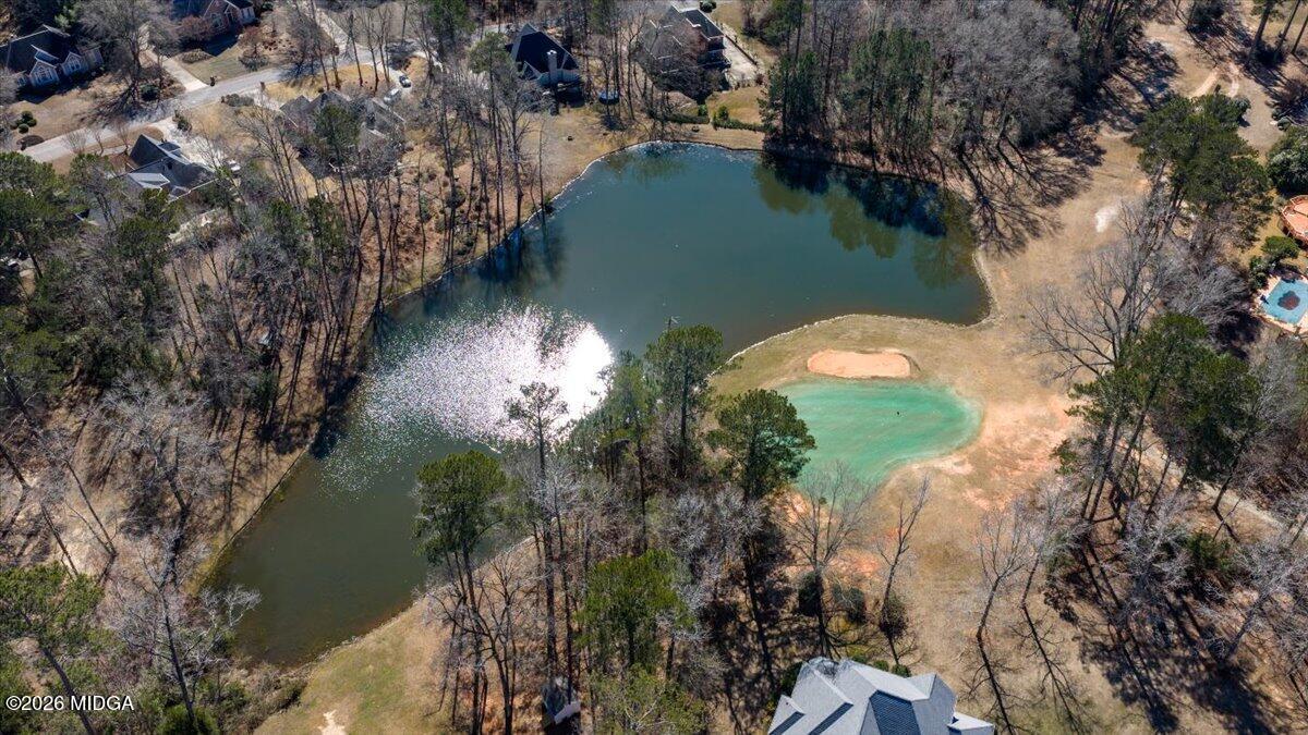 405 Laurel Place Macon, GA 31220 - Photo 45 of 60 Drone View