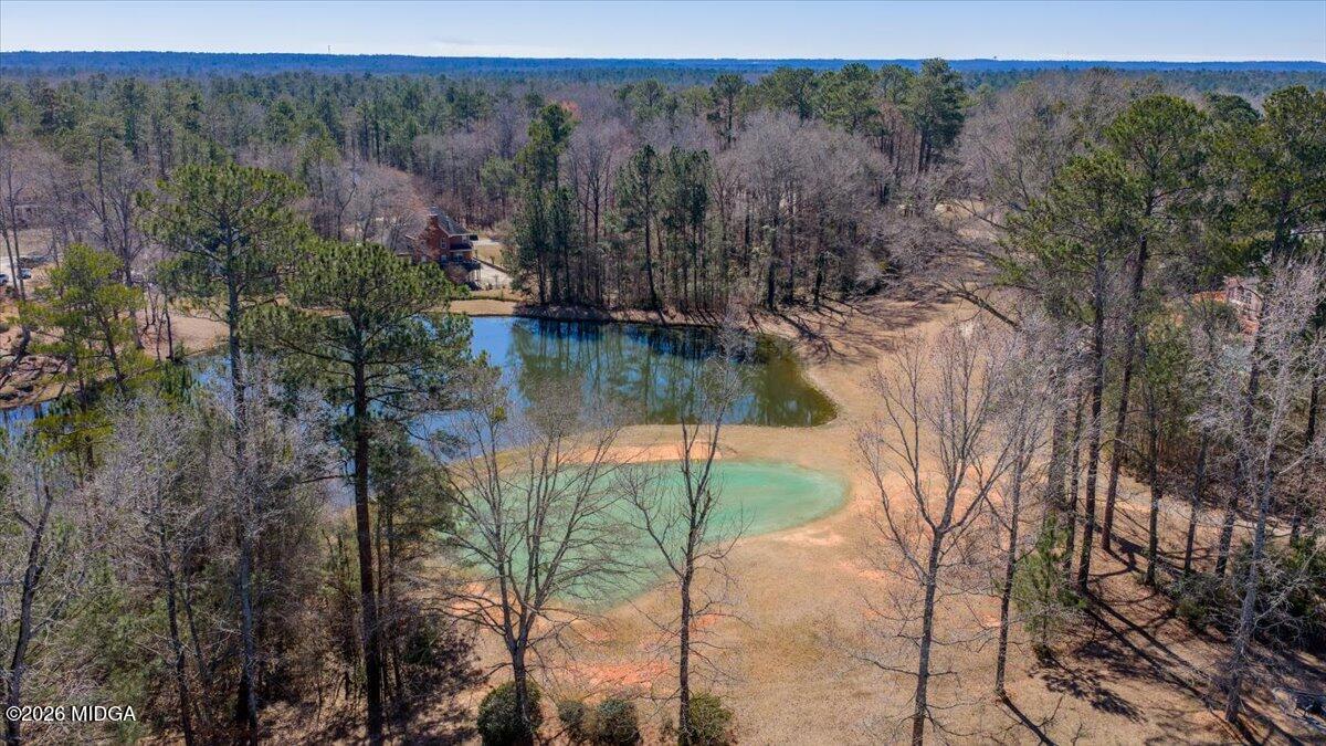 405 Laurel Place Macon, GA 31220 - Photo 46 of 60 Drone View