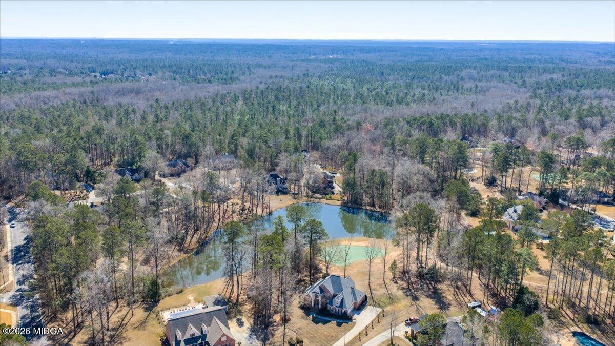 405 Laurel Place Macon, GA 31220 - Photo 47 of 60 Drone View