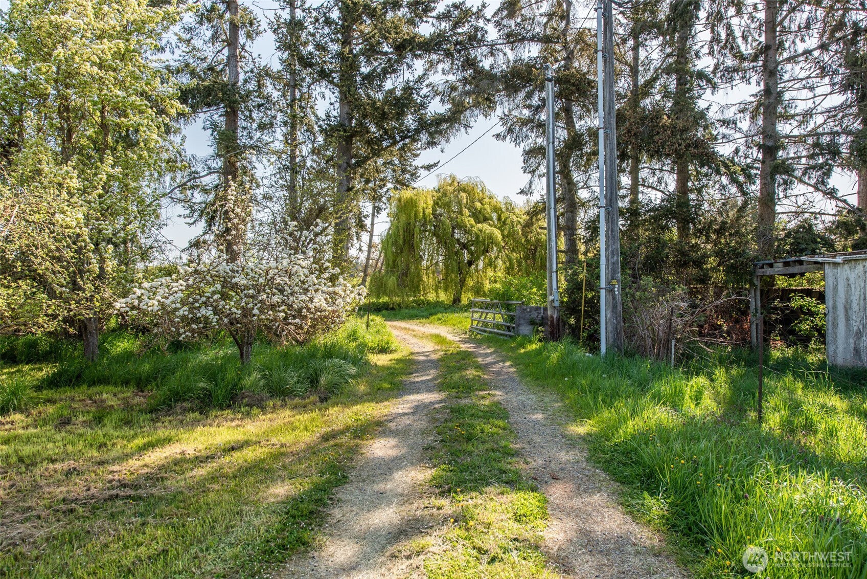 148 Gunn Road Port Angeles, WA 98362 - Photo 30 of 38 a view of yard