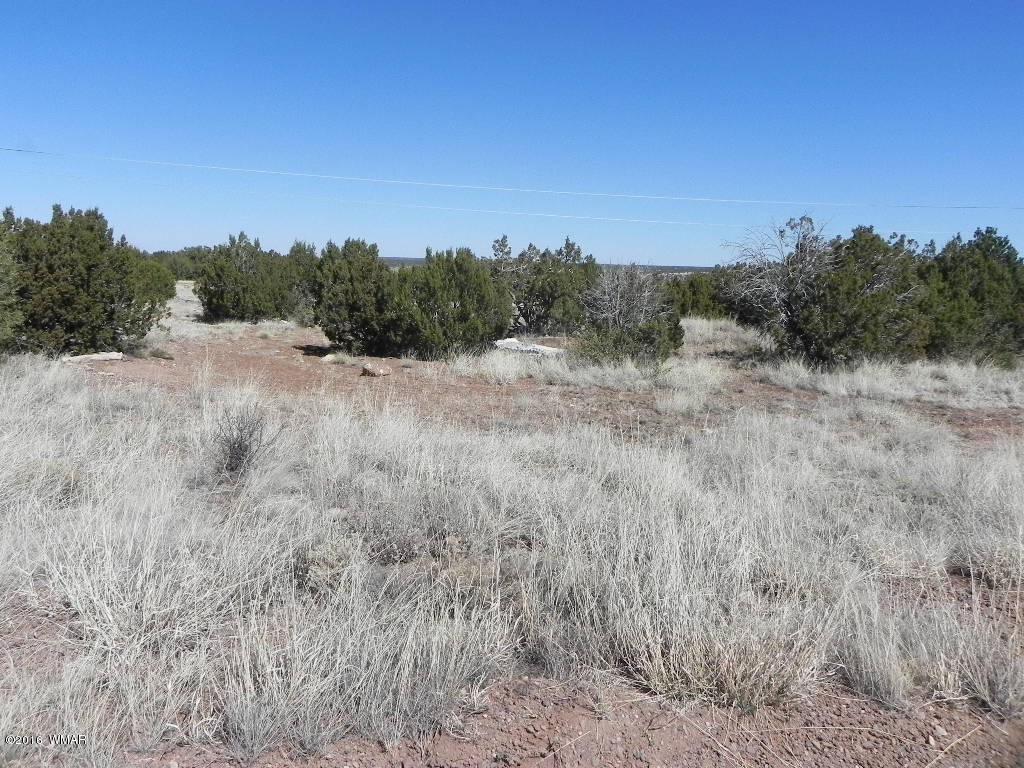 8424 Ridge Place Show Low, AZ 85901 - Photo 1 of 5