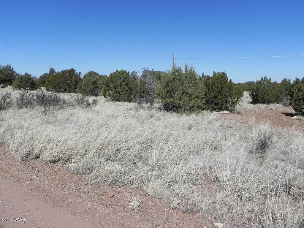 8424 Ridge Place Show Low, AZ 85901 - Photo 2 of 5