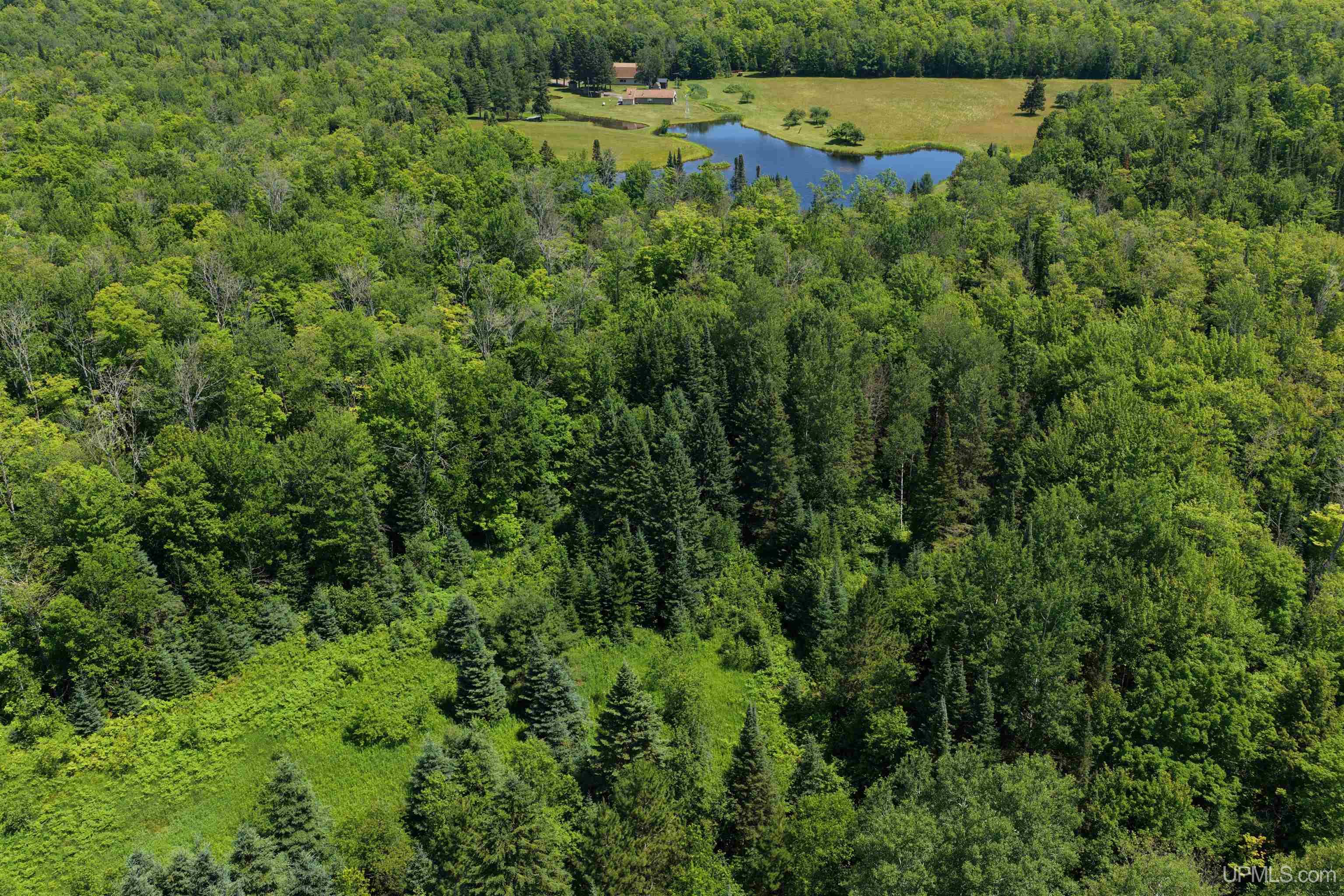 Tbd Peterson Road Nisula, MI 49952 - Photo 11 of 19 Gallery Image 11