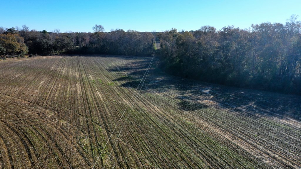 167 Grady Garner Road Slocomb, AL 36375 - Photo 12 of 20