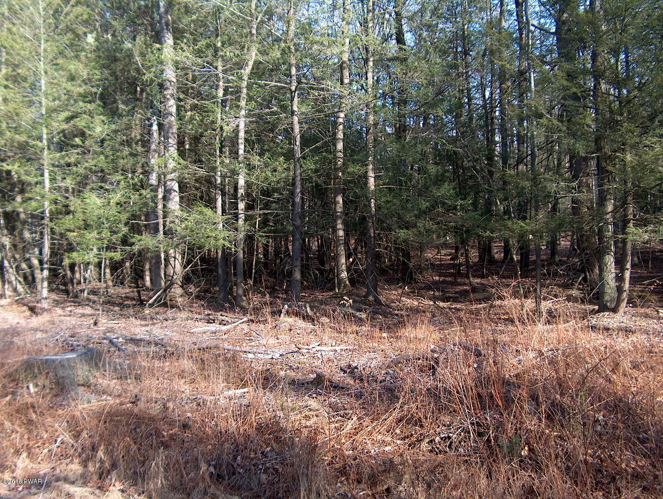 114 Phillips Road Newfoundland, PA 18445 - Photo 7 of 7