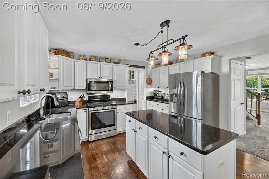 5900 Carter Court Howell, MI 48843 - Photo 18 of 72