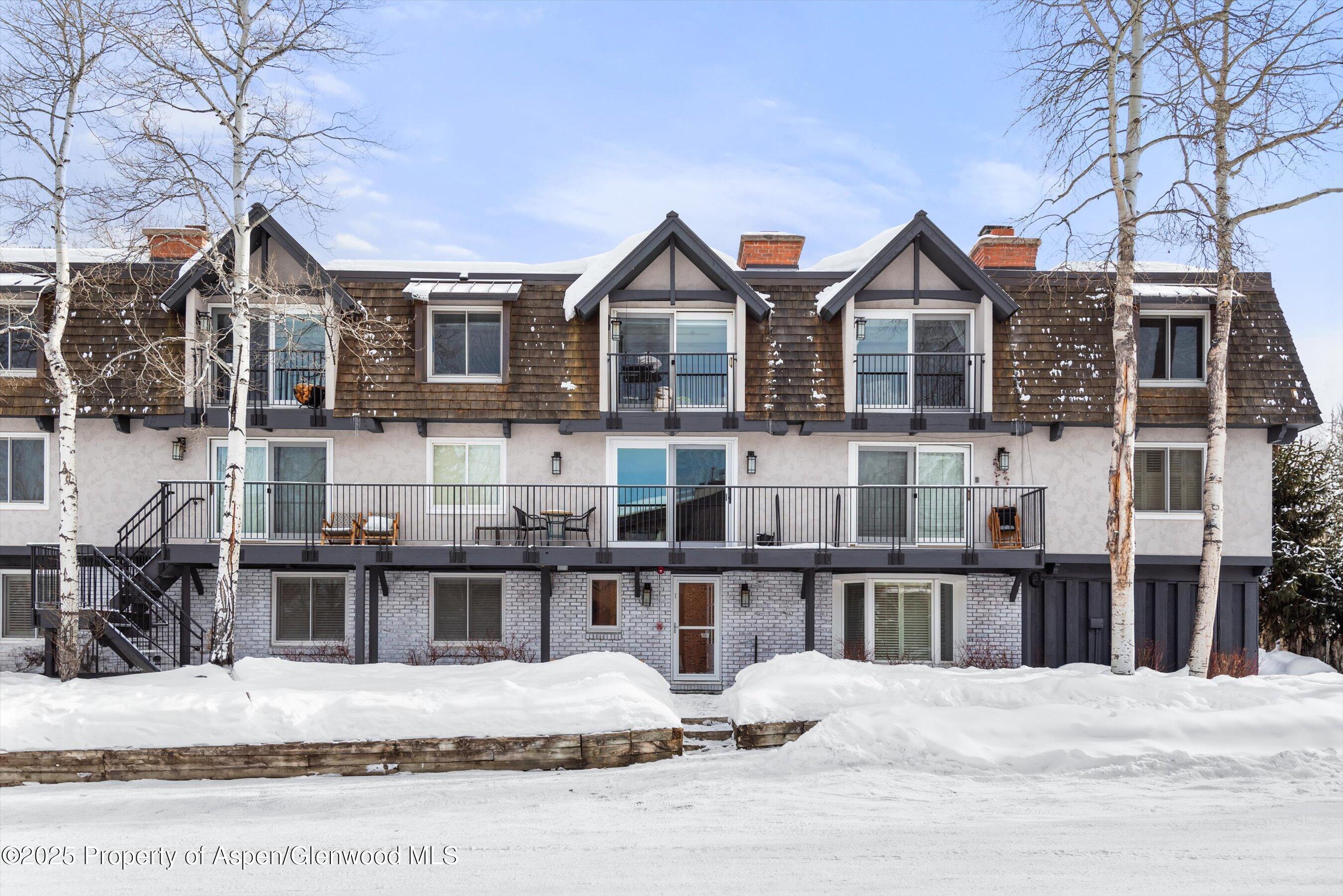901 East Hyman Avenue, Unit 1 Aspen, CO 81611 - Photo 12 of 12 a view of a street with houses