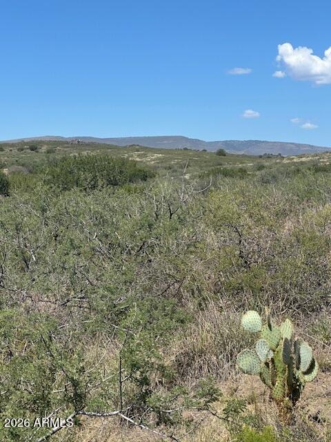 15450 East Upper Ridge Lane, Unit 110 Mayer, AZ 86333 - Photo 1 of 35