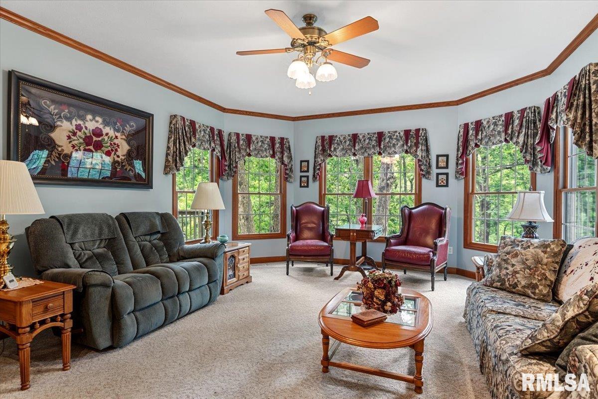 49 Woodland Trail Rochester, IL 62563 - Photo 26 of 98