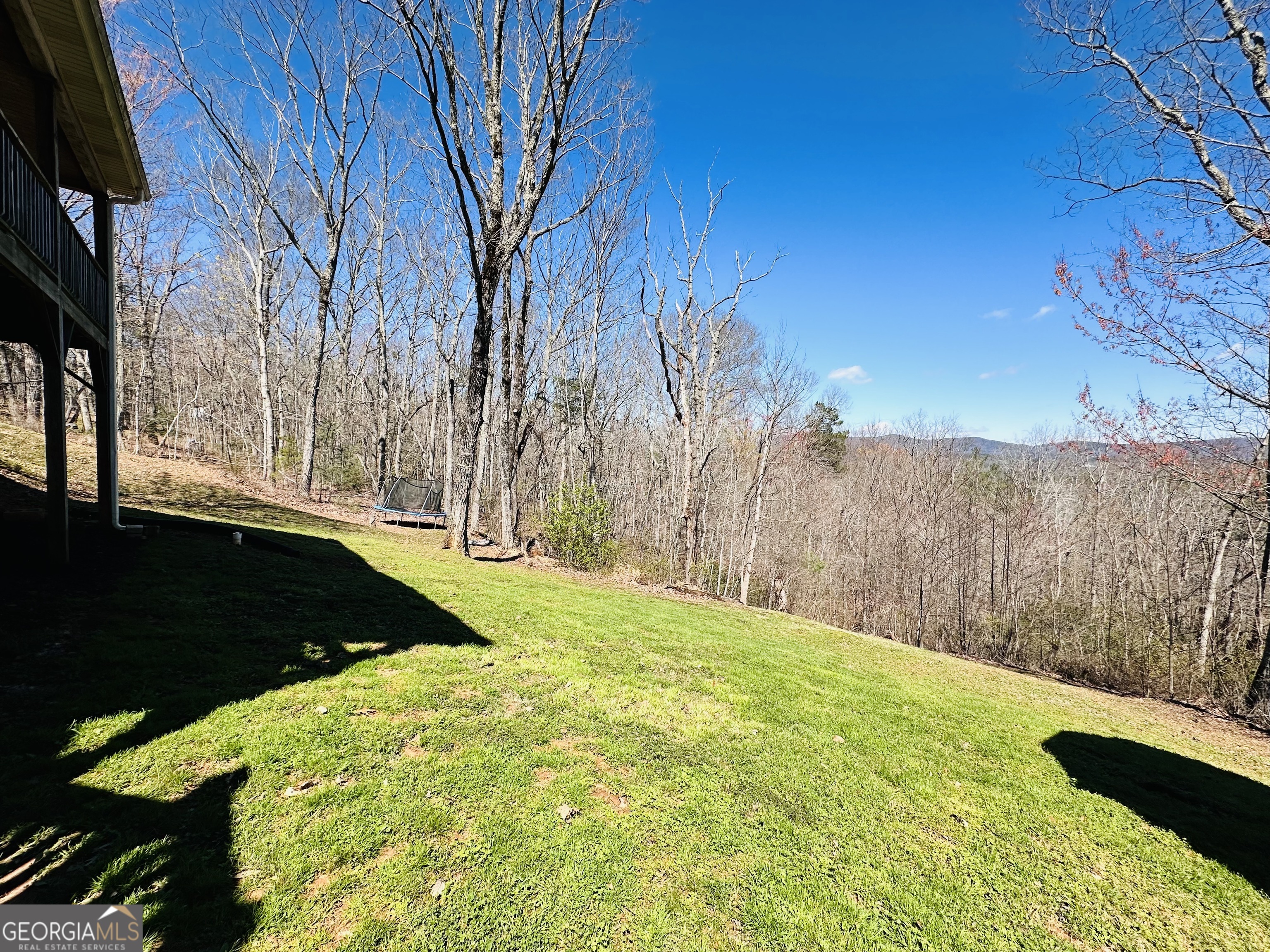 1947 Ivy Mountain Road Clarkesville, GA 30523 - Photo 29 of 31 a view of a yard with an trees