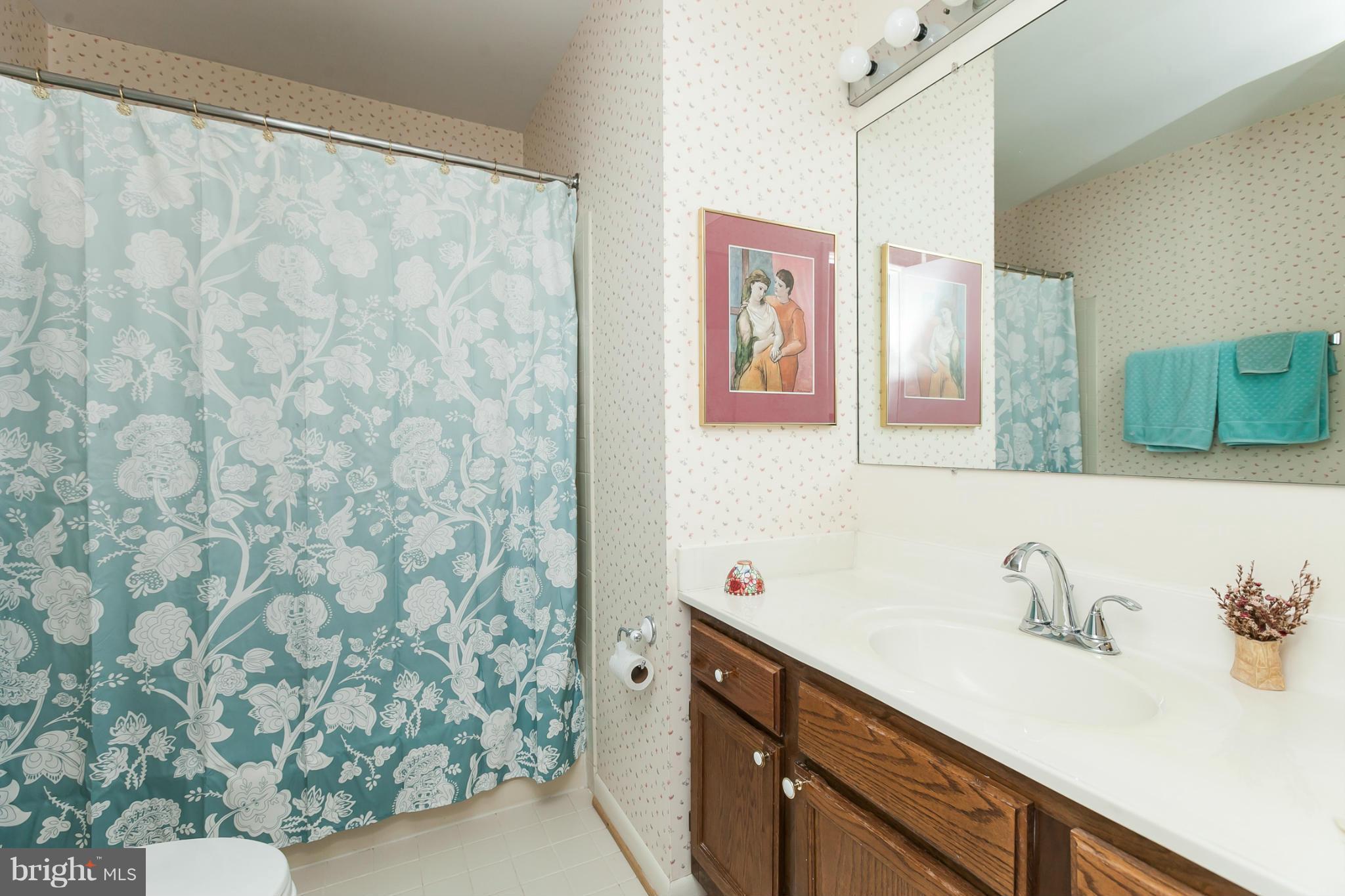 2846 Schoolhouse Circle Silver Spring, MD 20902 - Photo 19 of 28 a bathroom with a sink and a mirror