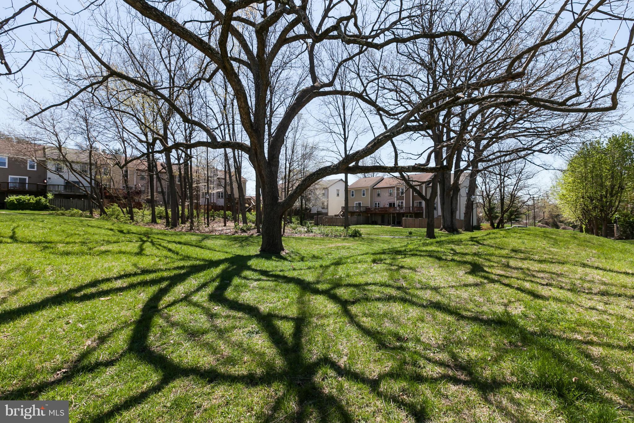 2846 Schoolhouse Circle Silver Spring, MD 20902 - Photo 28 of 28 a view of yard with green space