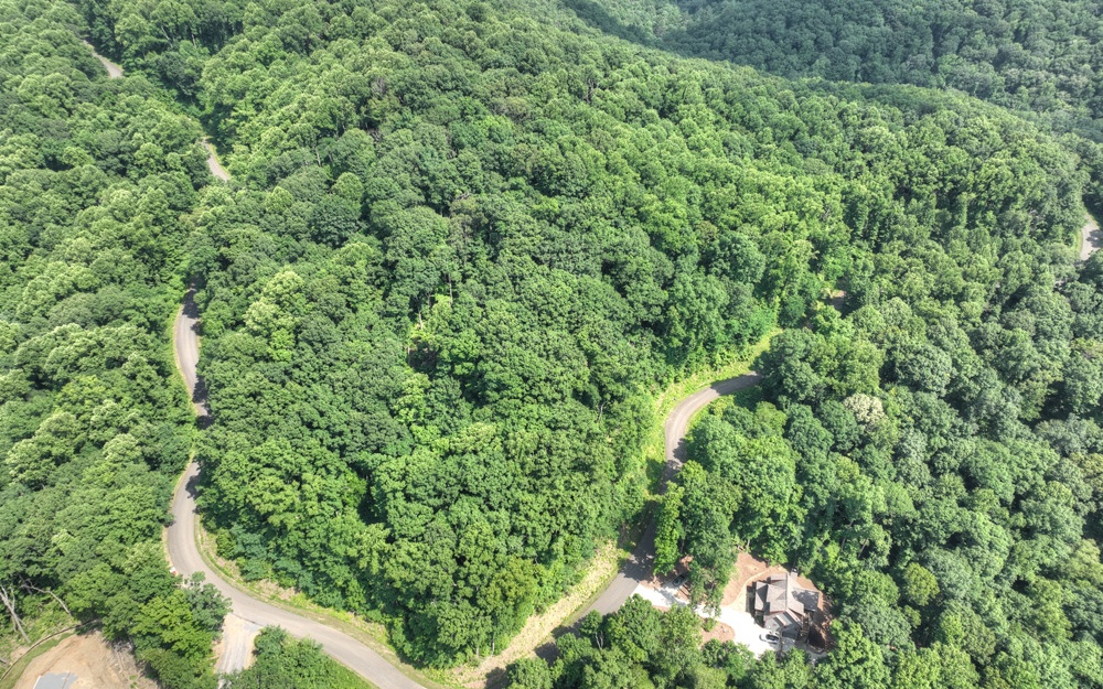 38 Mountain Falls Loop Ellijay, GA 30540 - Photo 11 of 18 Additional View