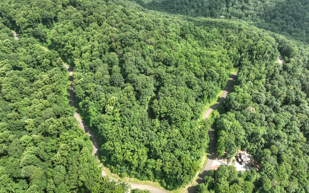 38 Mountain Falls Loop Ellijay, GA 30540 - Photo 12 of 18 Additional View