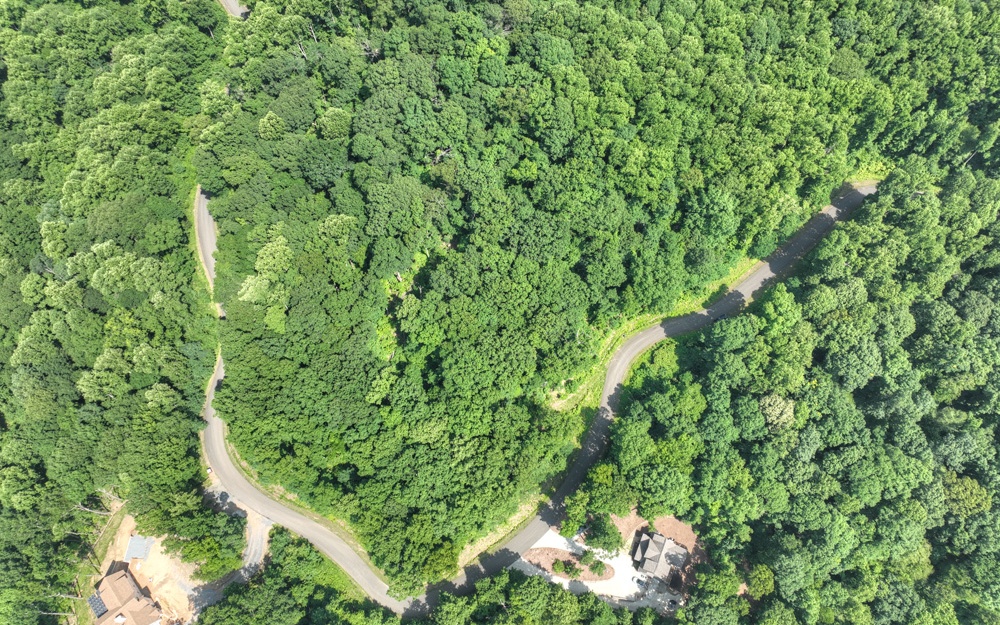 38 Mountain Falls Loop Ellijay, GA 30540 - Photo 14 of 18 Additional View