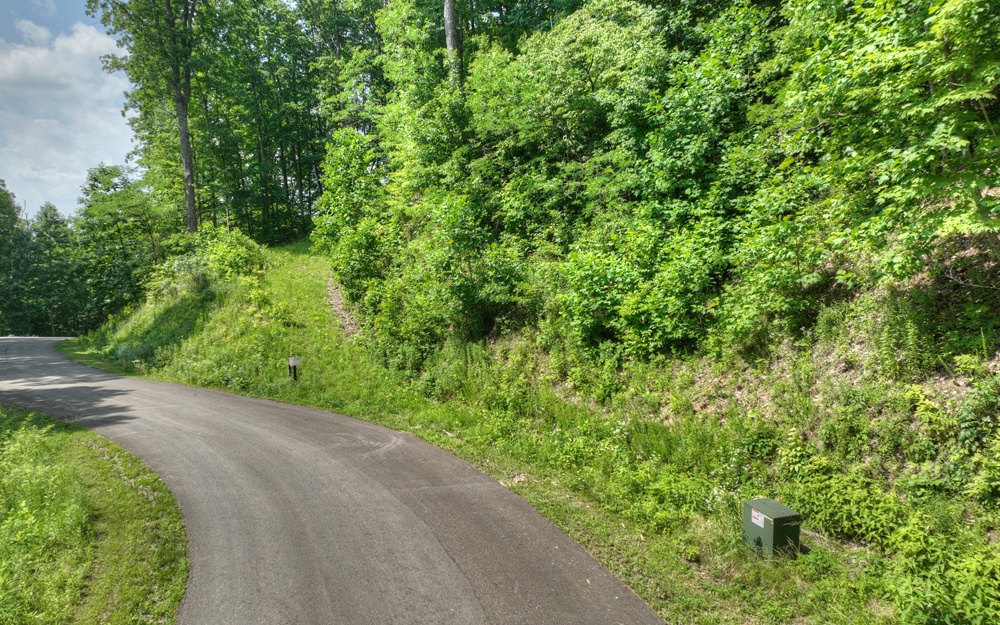 38 Mountain Falls Loop Ellijay, GA 30540 - Photo 15 of 18 Additional View