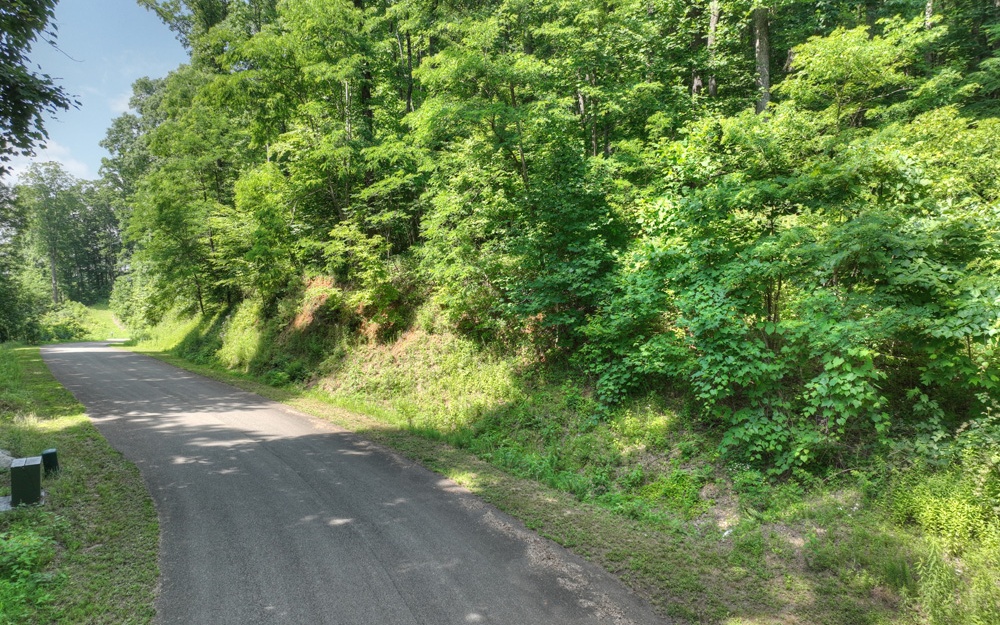 38 Mountain Falls Loop Ellijay, GA 30540 - Photo 16 of 18 Additional View