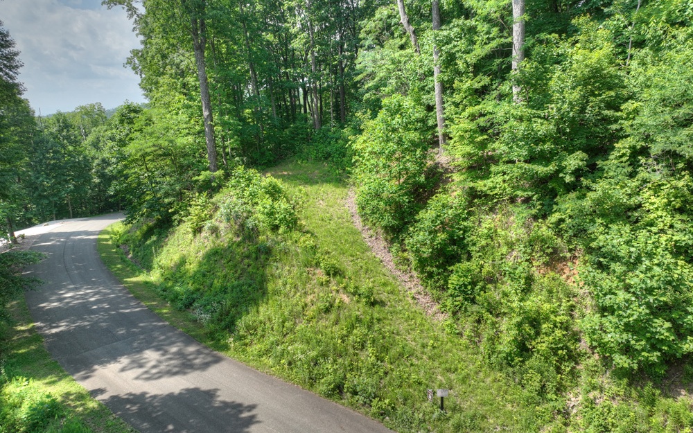 38 Mountain Falls Loop Ellijay, GA 30540 - Photo 2 of 18 Additional View