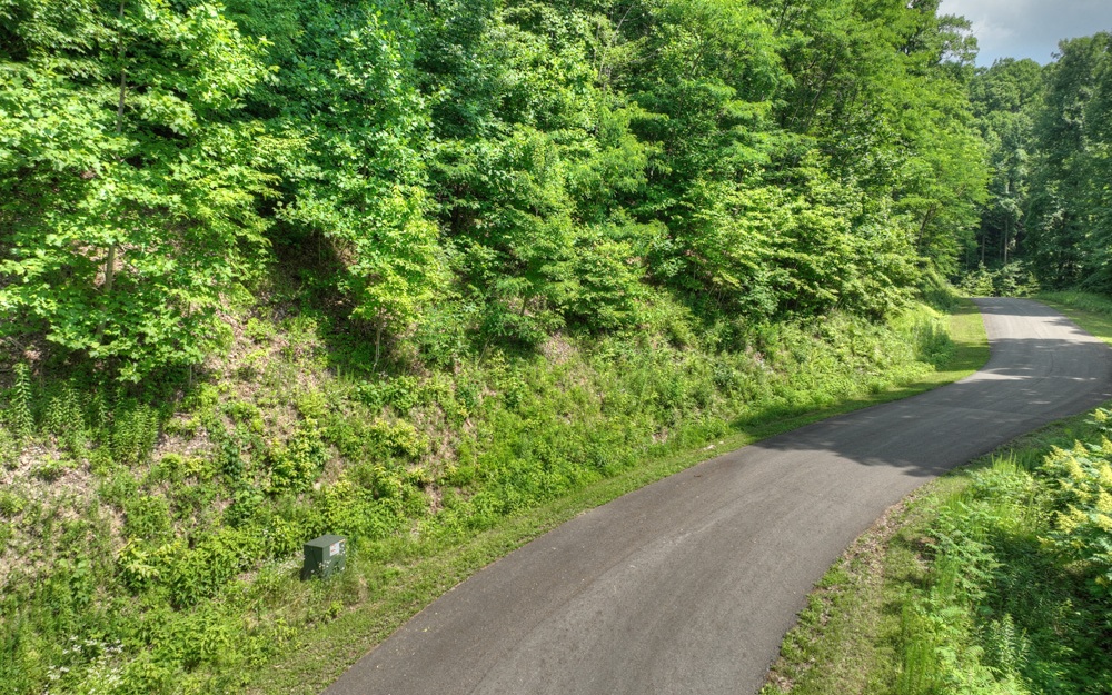 38 Mountain Falls Loop Ellijay, GA 30540 - Photo 3 of 18 Additional View