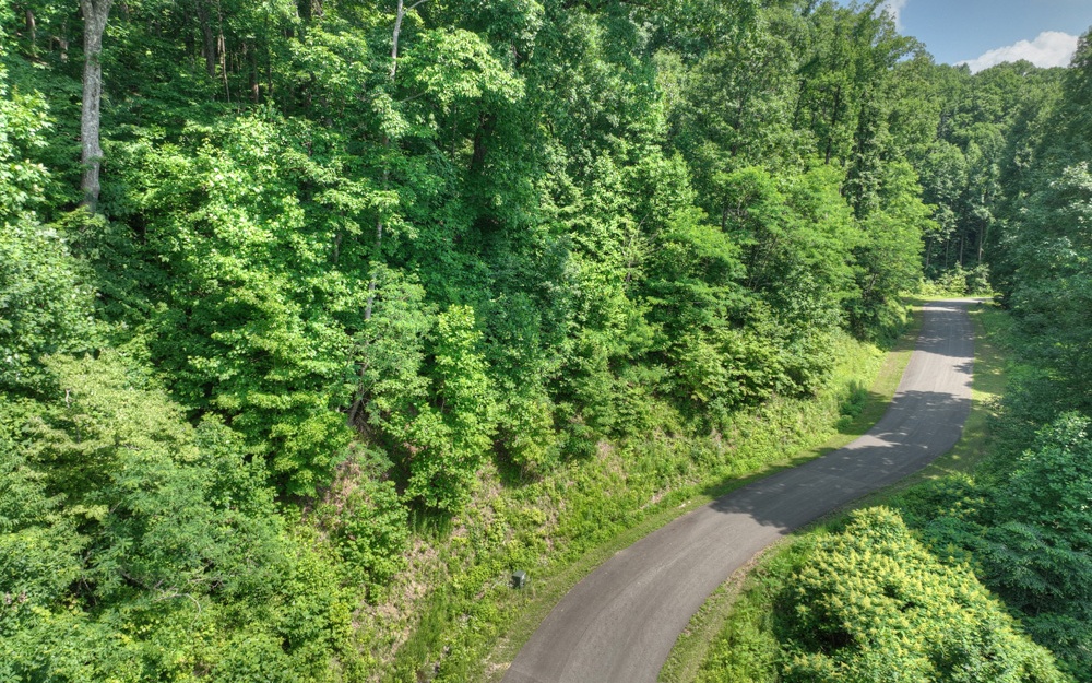 38 Mountain Falls Loop Ellijay, GA 30540 - Photo 5 of 18 Additional View