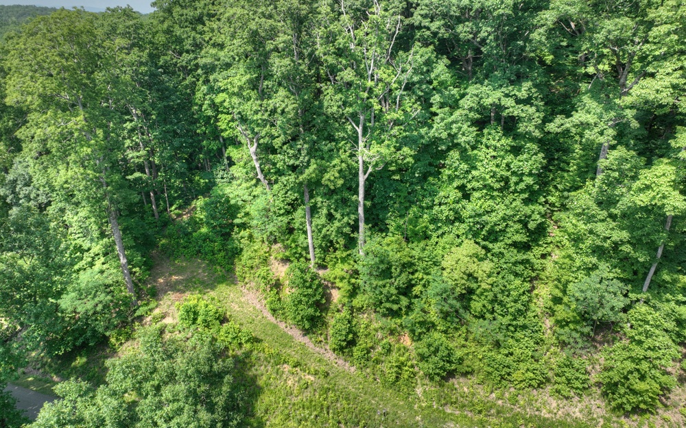 38 Mountain Falls Loop Ellijay, GA 30540 - Photo 6 of 18 Additional View