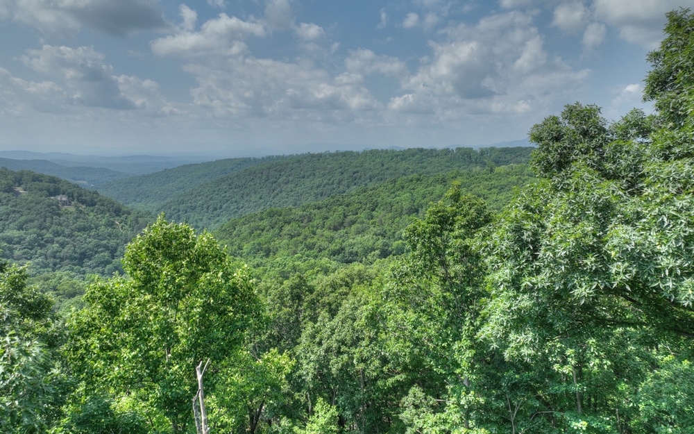 38 Mountain Falls Loop Ellijay, GA 30540 - Photo 8 of 18 Additional View
