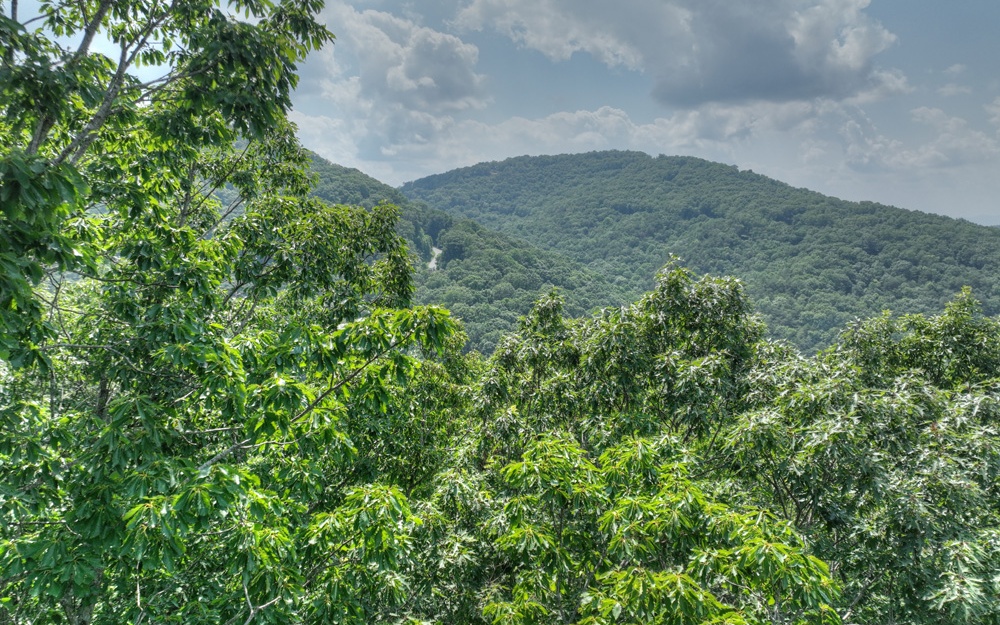 38 Mountain Falls Loop Ellijay, GA 30540 - Photo 9 of 18 Additional View