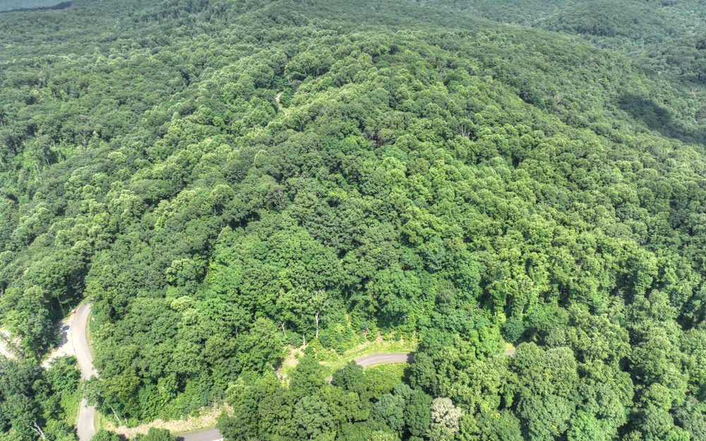 38 Mountain Falls Loop Ellijay, GA 30540 - Photo 10 of 18 Additional View