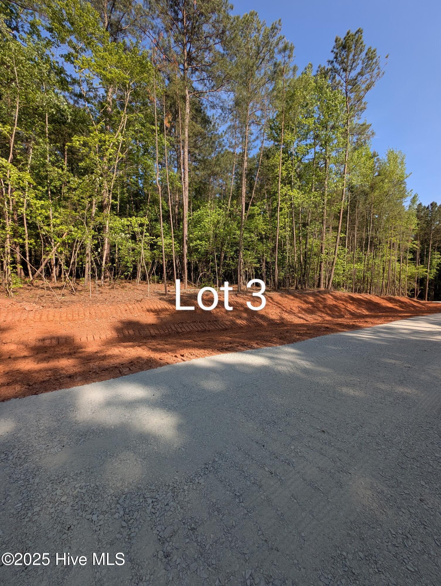 525 Fletcher Farms Way Carthage, NC 28327 - Photo 2 of 4 PXL_20250429_202022012~2