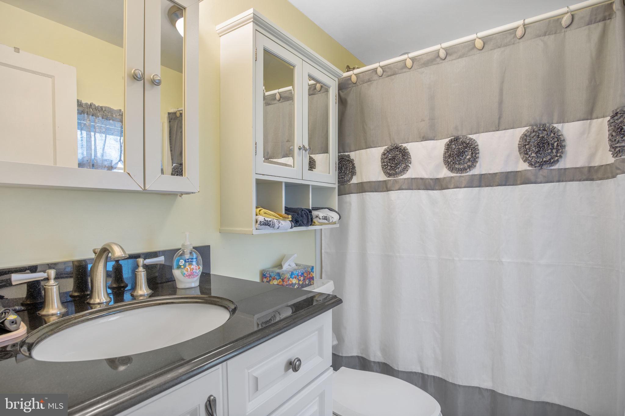 1005 North Providence Road Media, PA 19063 - Photo 14 of 23 Full Bath