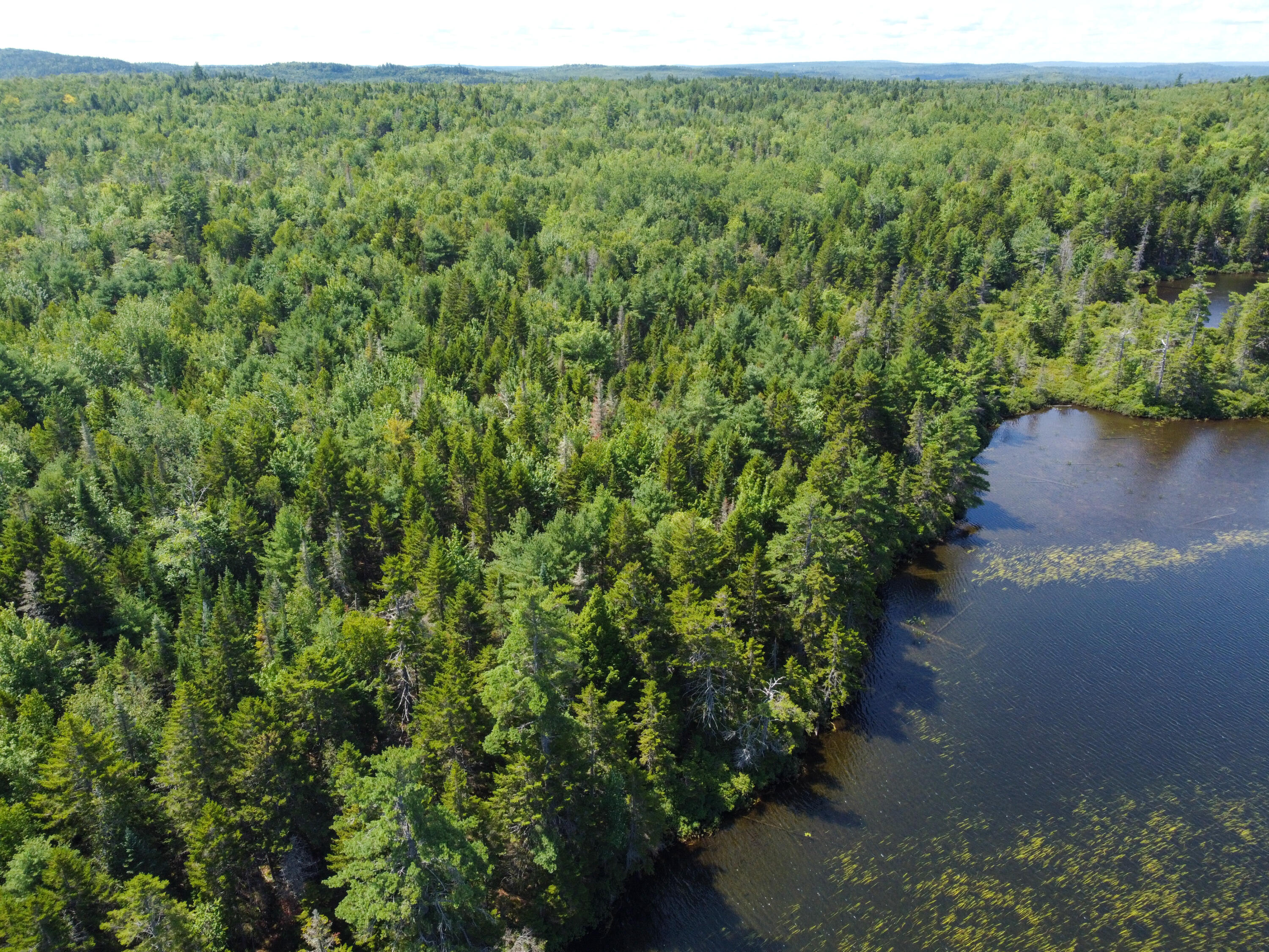 Lot 6 Goulding Lk Road Robbinston, ME 04671 - Photo 10 of 30 DJI_0864