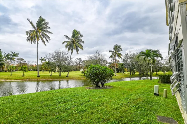 a view of a yard and a fountain