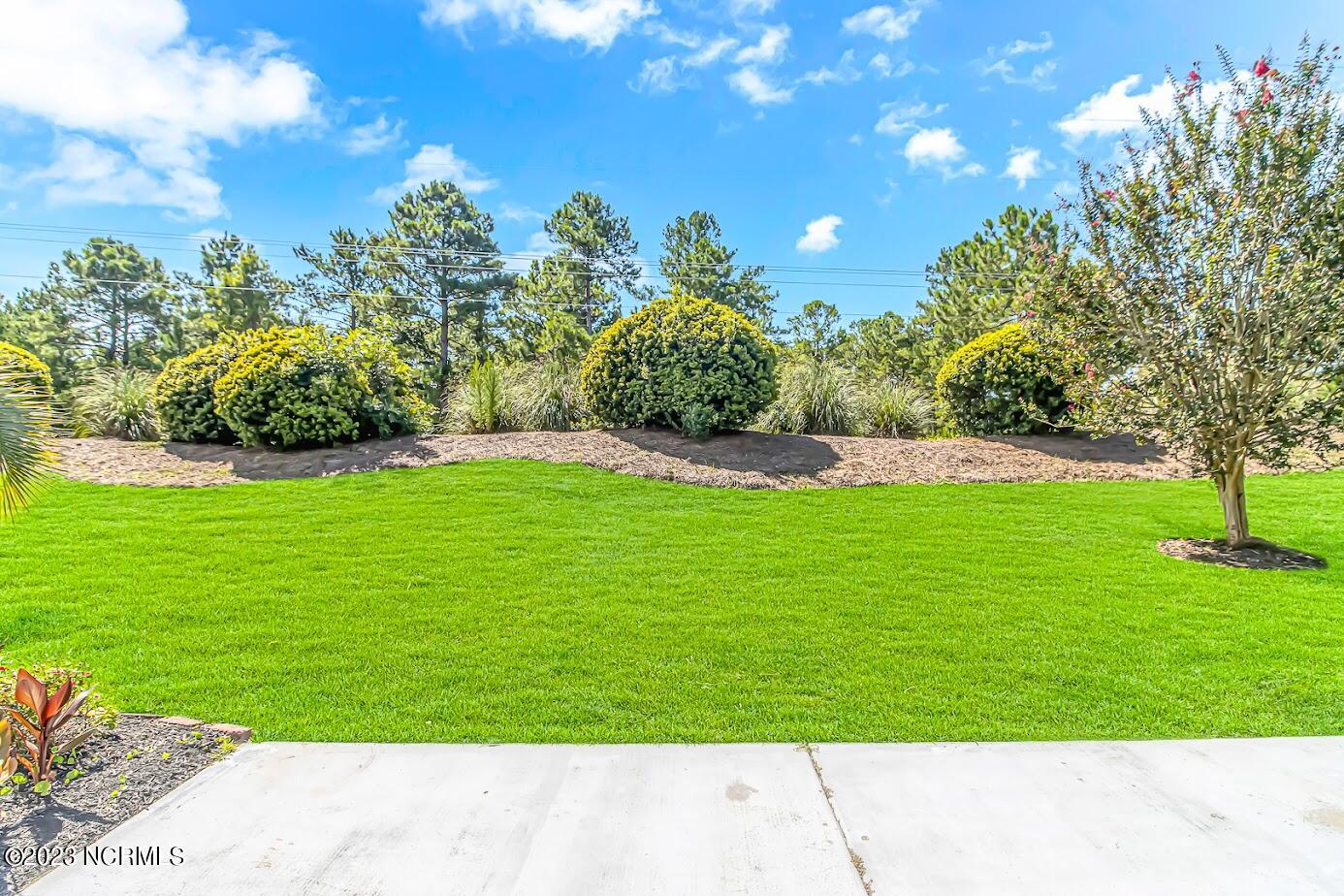 933 Wyndfall Drive Southwest Sunset Beach, NC 28468 - Photo 21 of 39 Back yard