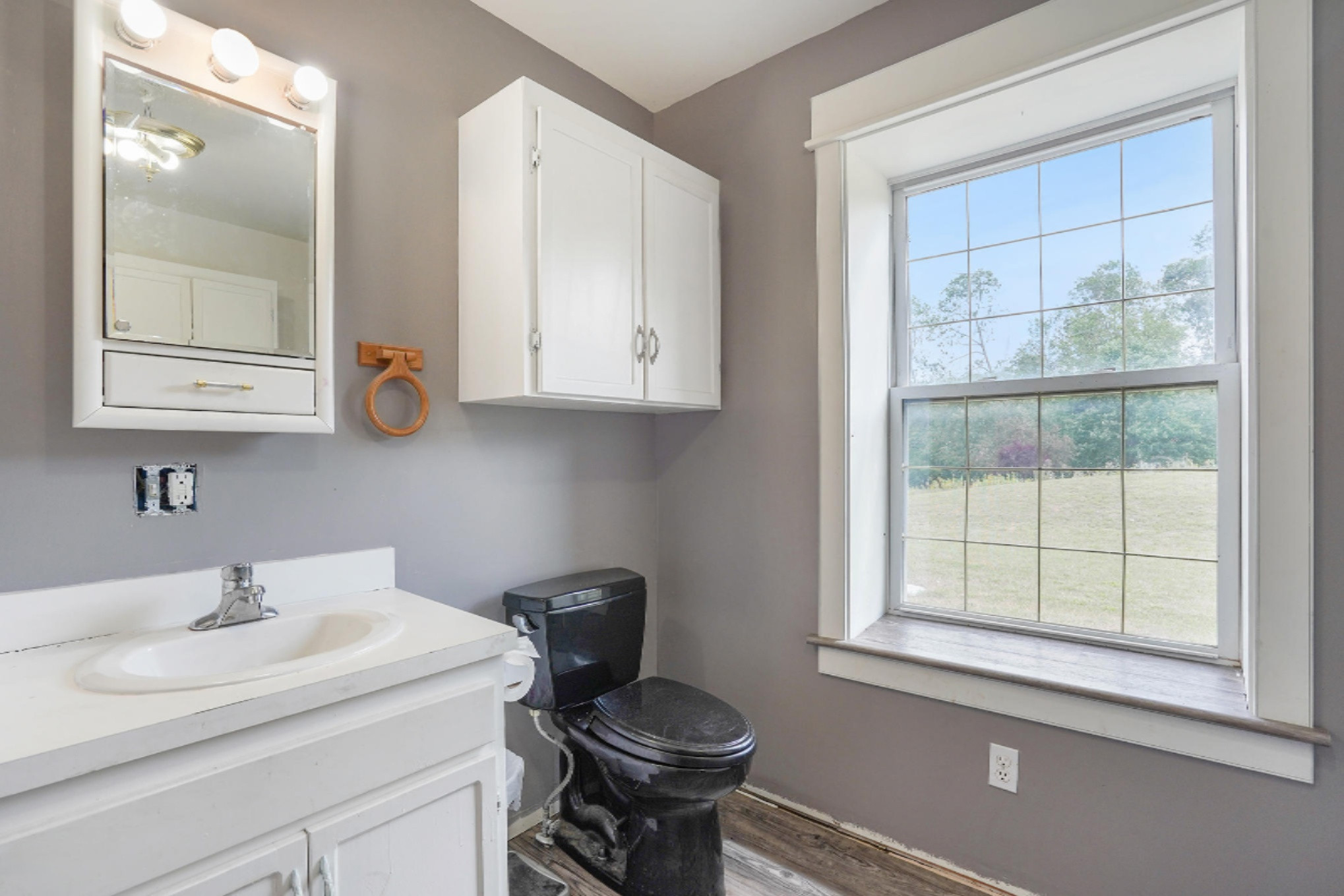 23051 West Waterwheel Road Pierson, MI 49339 - Photo 11 of 25 Photo Jul 22, 12 33 31 PM