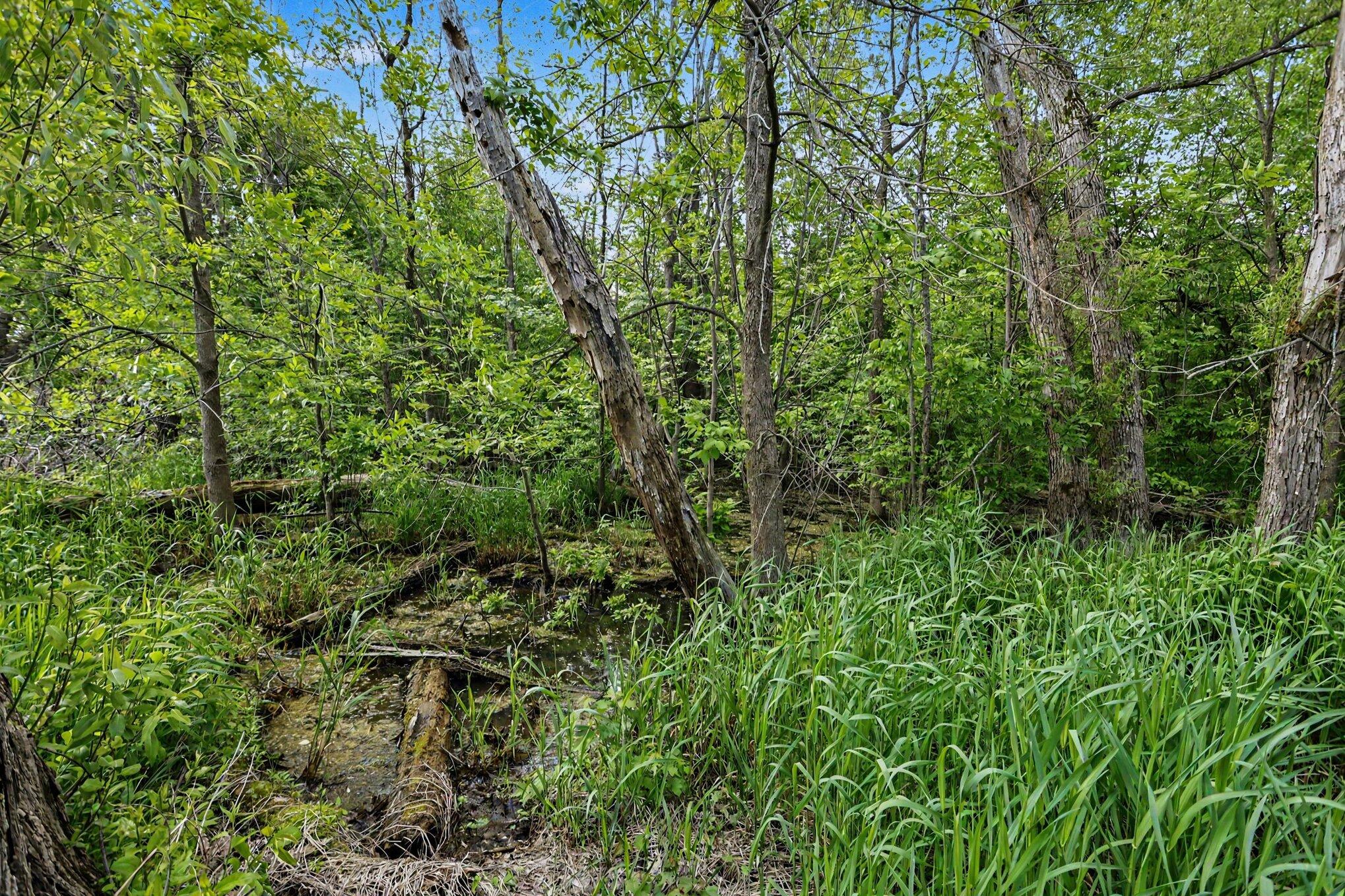 5494 Old Pipestone Road Eau Claire, MI 49111 - Photo 10 of 50 010_file_8350