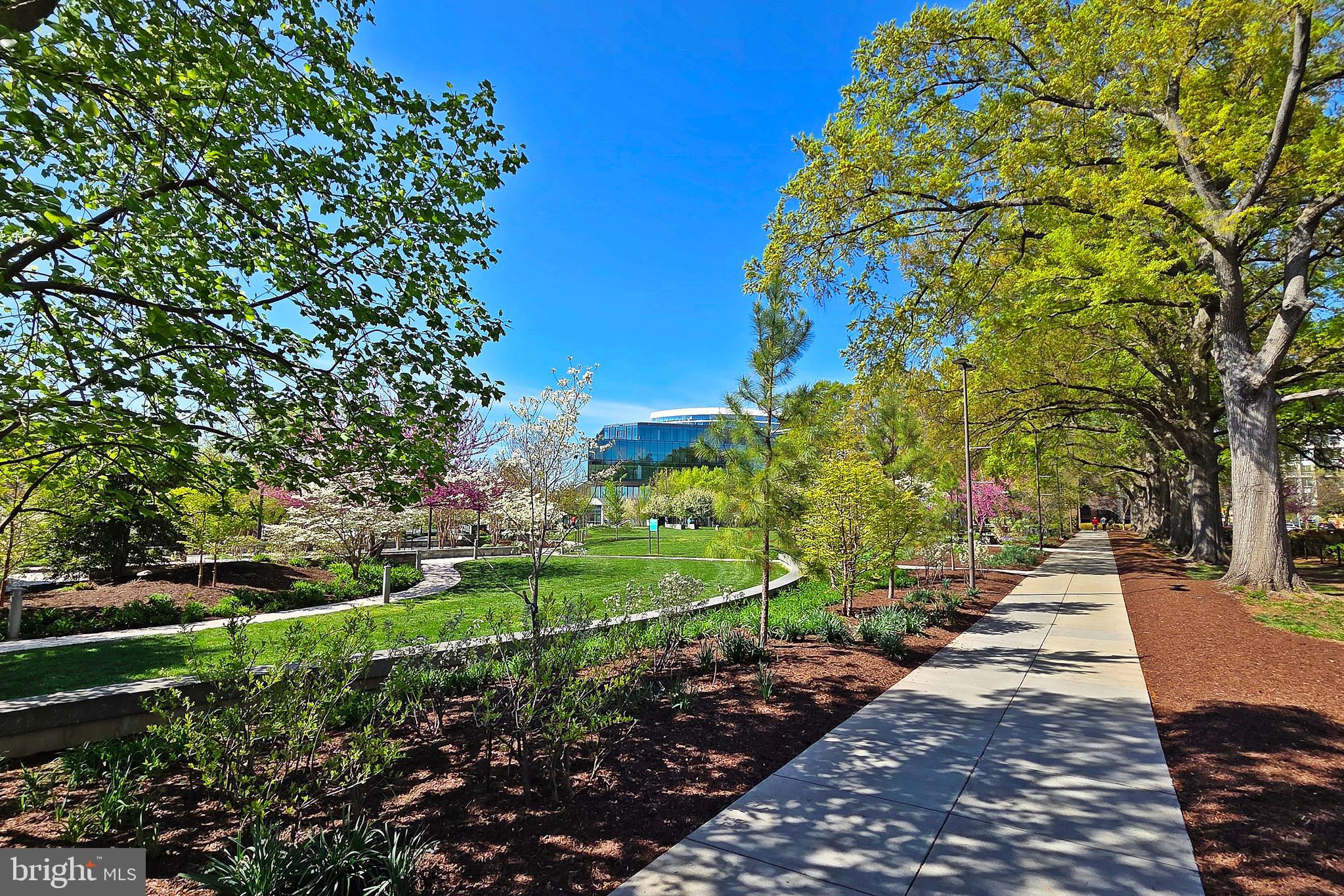 1245 4th Street Southwest, Unit E602 Washington, DC 20024 - Photo 27 of 35 Community Park