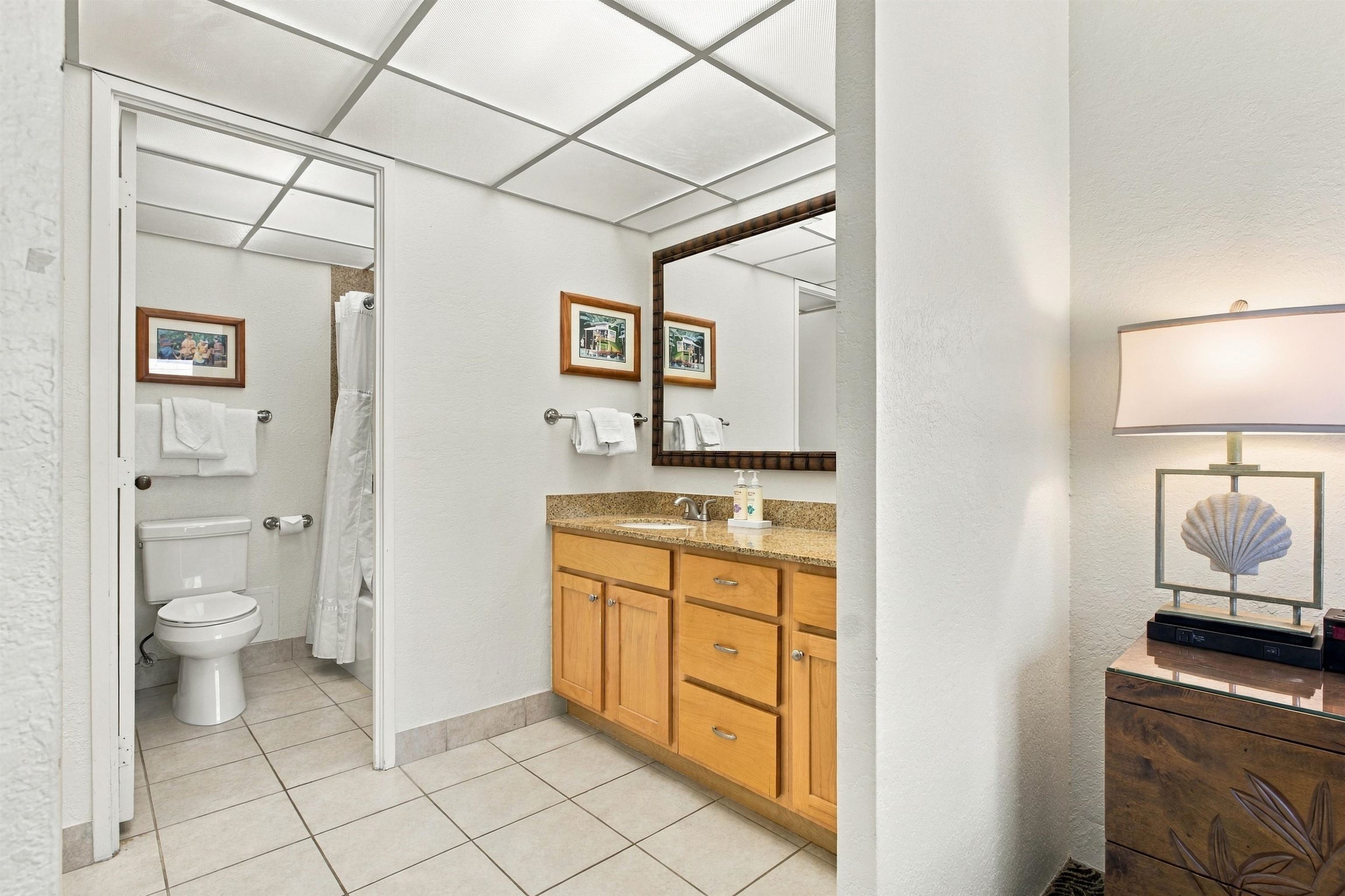3445 Lower Honoapiilani Road, Unit 254 Lahaina, HI 96761 - Photo 6 of 34 Gallery Image 6