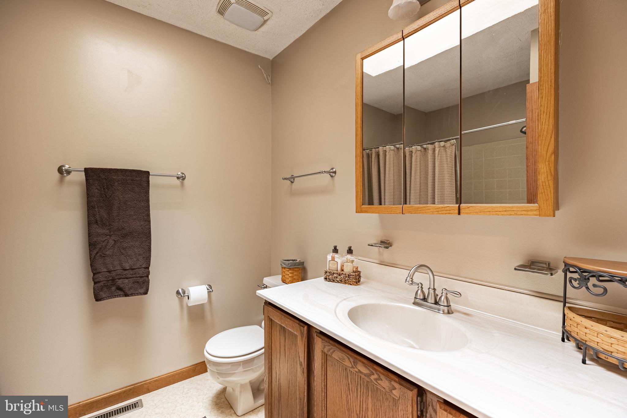 5218 Caledon Road King George, VA 22485 - Photo 31 of 59 Full Hall Bathroom with tub/shower & skylight!